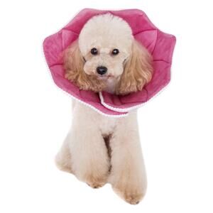 Alfie Pet Size XXL Noah Recovery Collar Pink Pom Pom for Dogs or Cats
